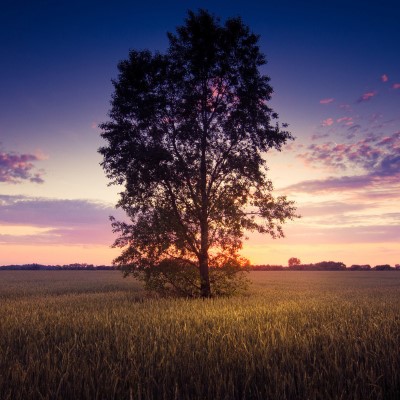 1920 x 1080 HD Wallpapers 1219